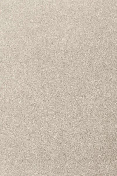 Ковровое покрытие AW Oinone 39 - (4м) в Воронеже