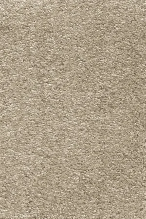 Ковровое покрытие AW Omnia 33 - (4м) в Воронеже