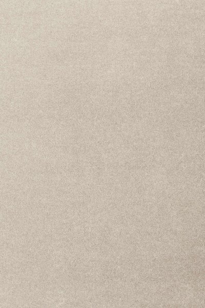 Ковровое покрытие AW Oinone 39 - (4м) в #REGION_NAME_DECLINE_PP#